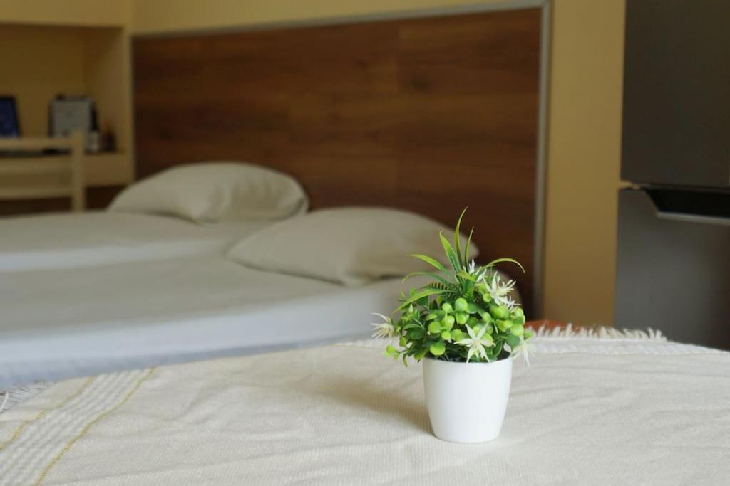 Alle'S M Shyri Studio Apartment Tiranë Eksteriør bilde