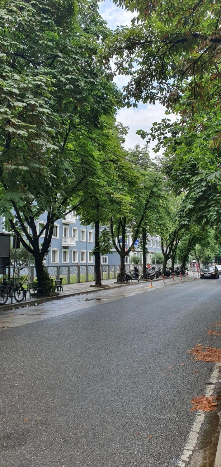 Alle'S M Shyri Studio Apartment Tiranë Eksteriør bilde